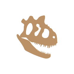 paleo